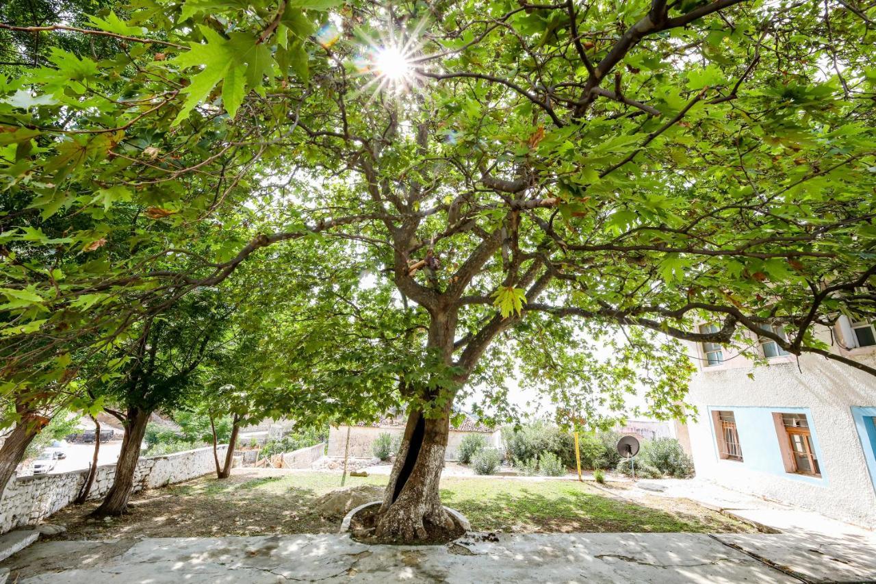 Vila Leon - Old Qeparo - 6 People المظهر الخارجي الصورة